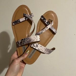 Steve Madden Snake Skin Sandals